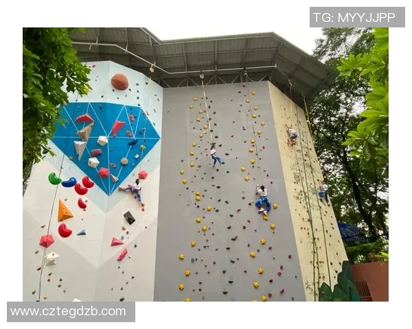 攀岩精神与团队协作：上海攀岩队的成功之道与经验分享