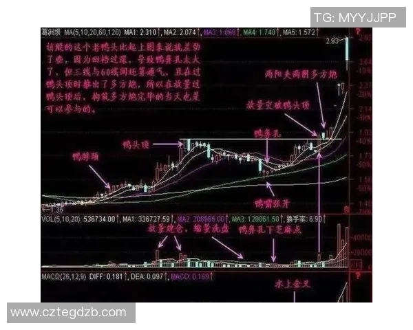 深圳篮球队的节奏分析与战术演变探讨 深圳篮球队的节奏分析与战术演变探讨