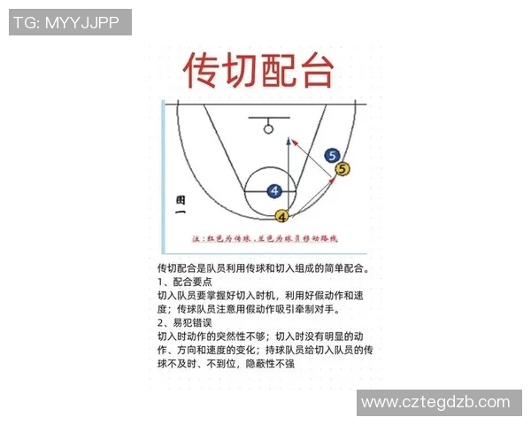 李静深度解析篮球技巧与战术分享助你提升球技的独家心得